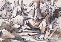 Velický potok (lavírovaná kresba) r. 1963